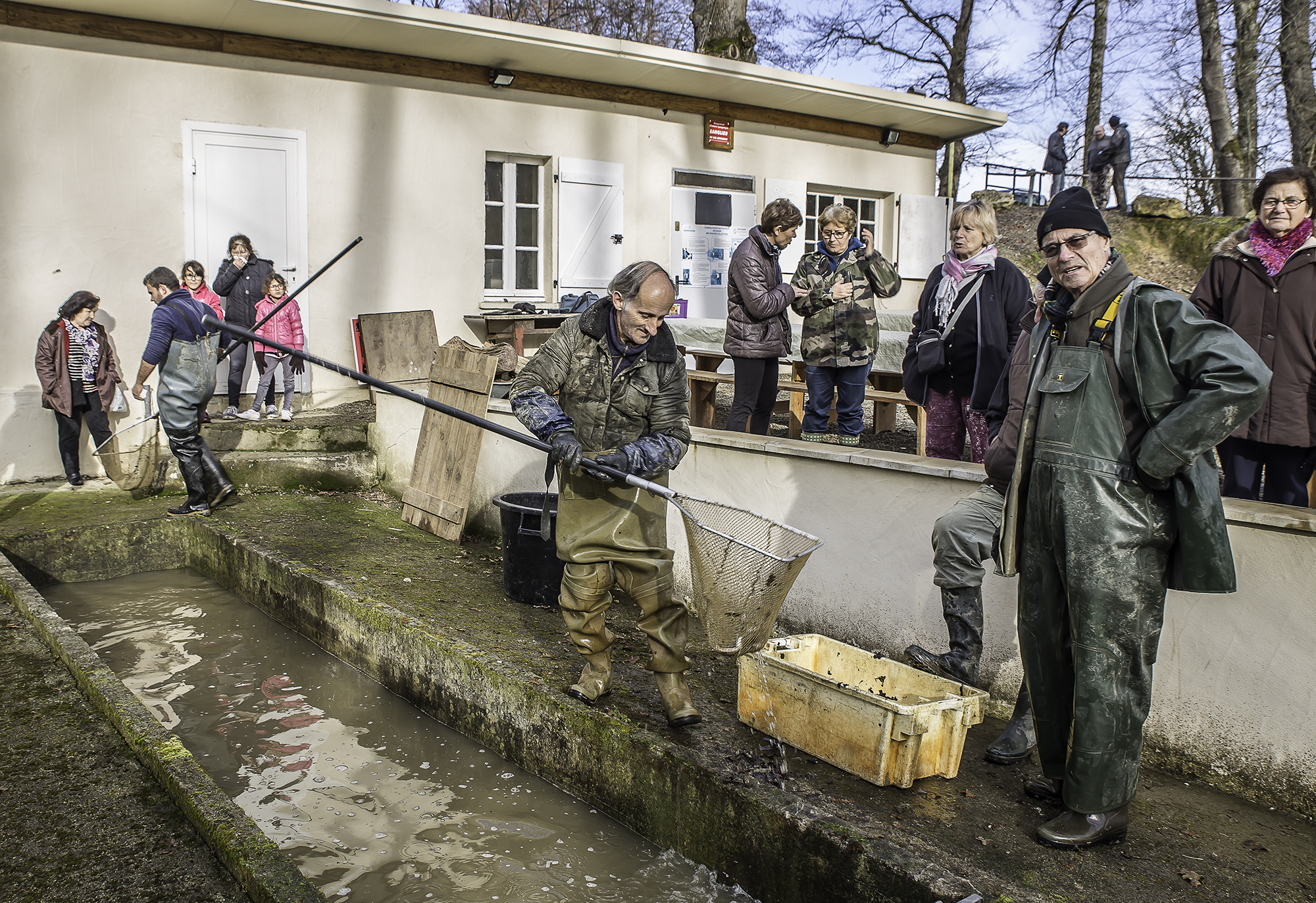 3 Tri des poissons 1bis 300116.jpg