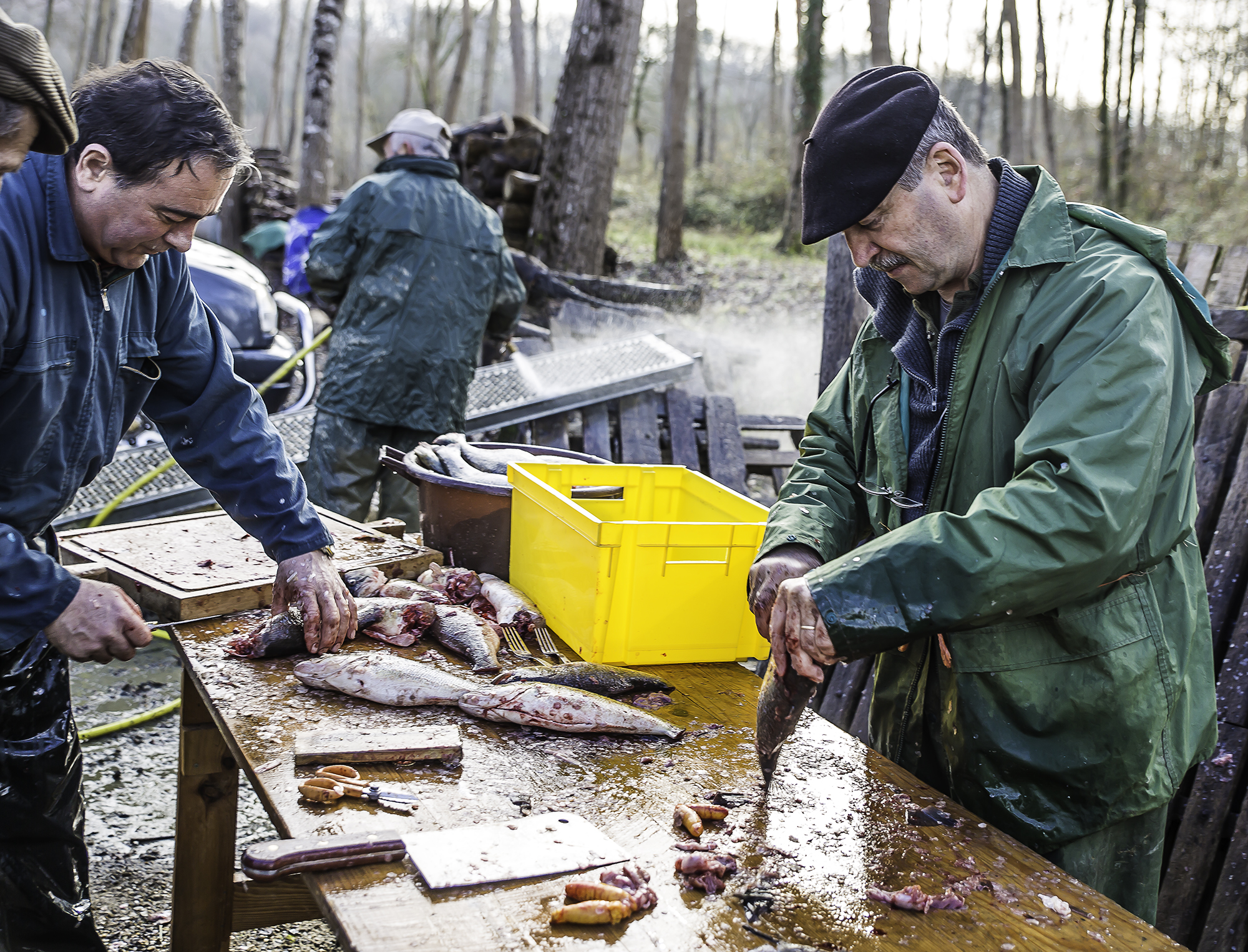 6 Préparation des poissons 1bis 300116.jpg