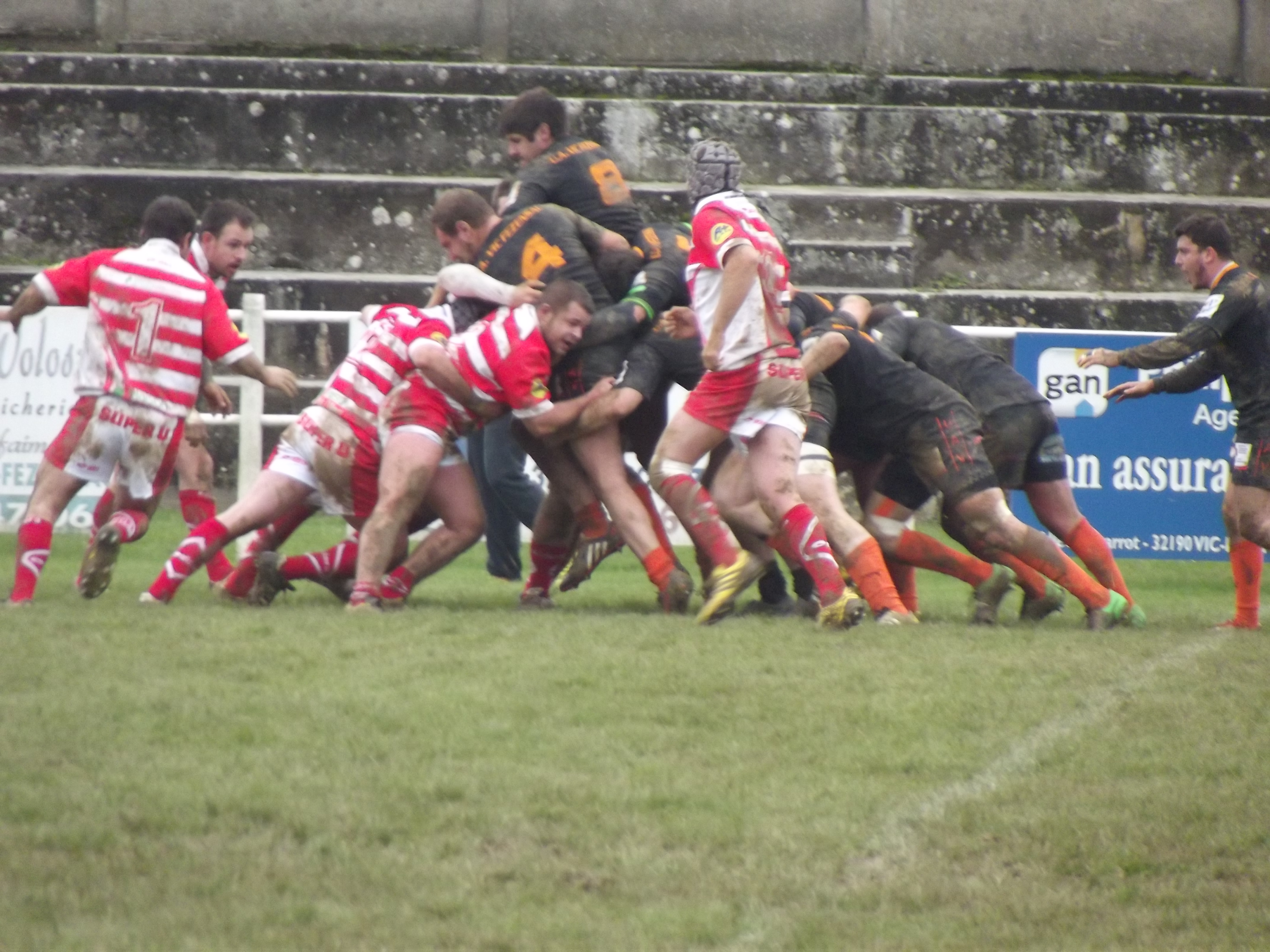 DSCF3341.JPG