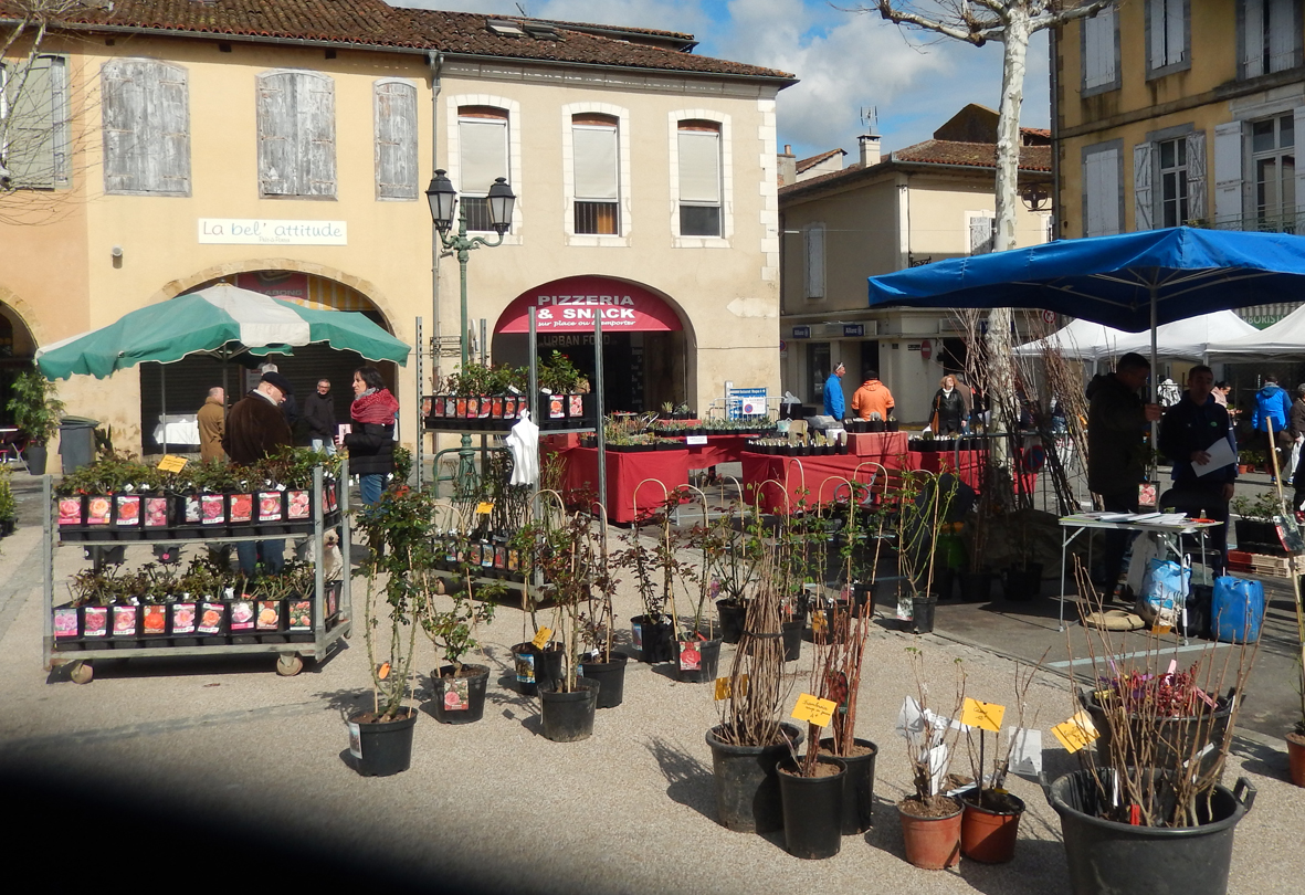 DSCN1912.JPG