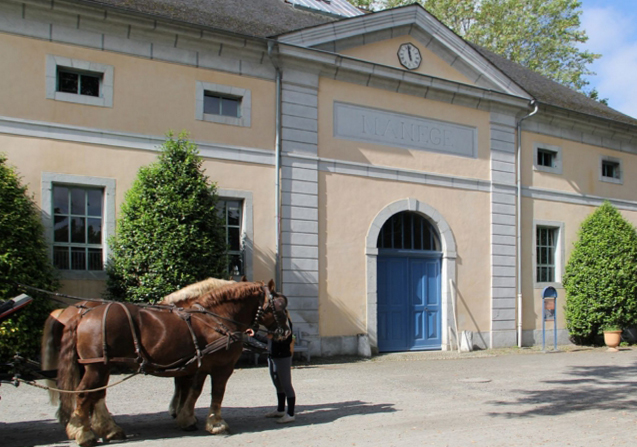 haras tarbes.jpg