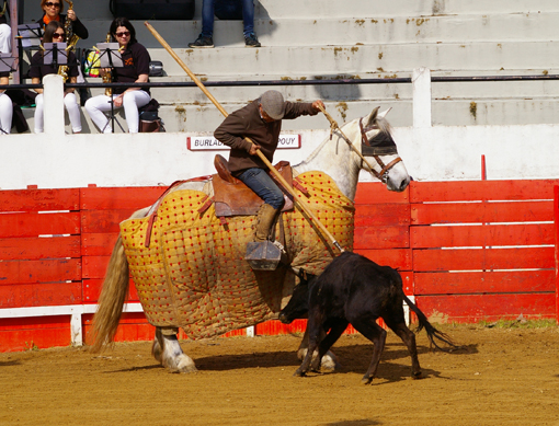 20160320192937CiBa.JPG