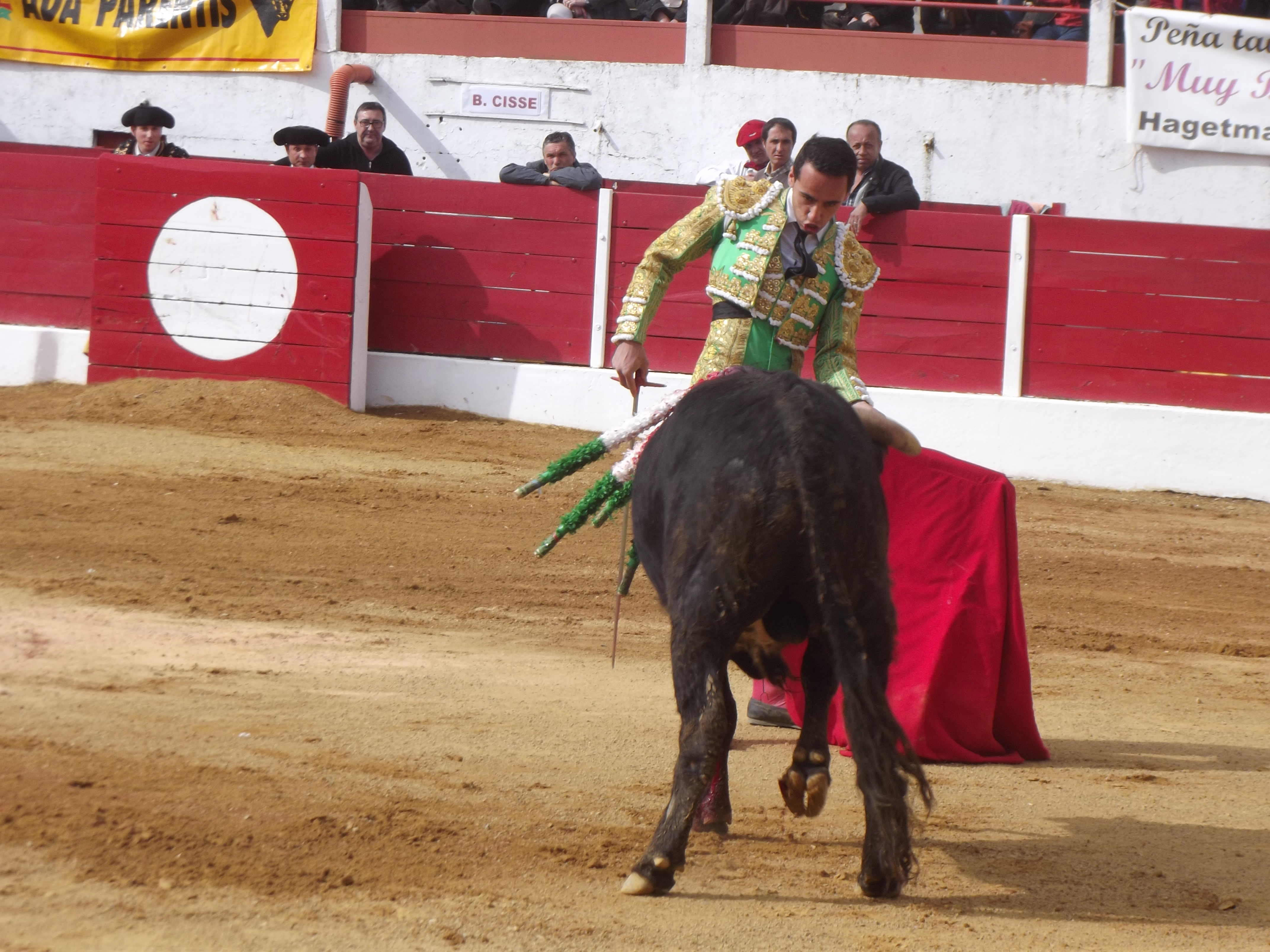 DSCF3475.JPG