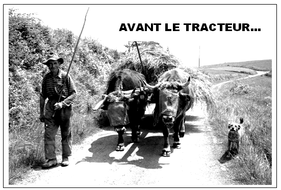 photo pour la depeche.png