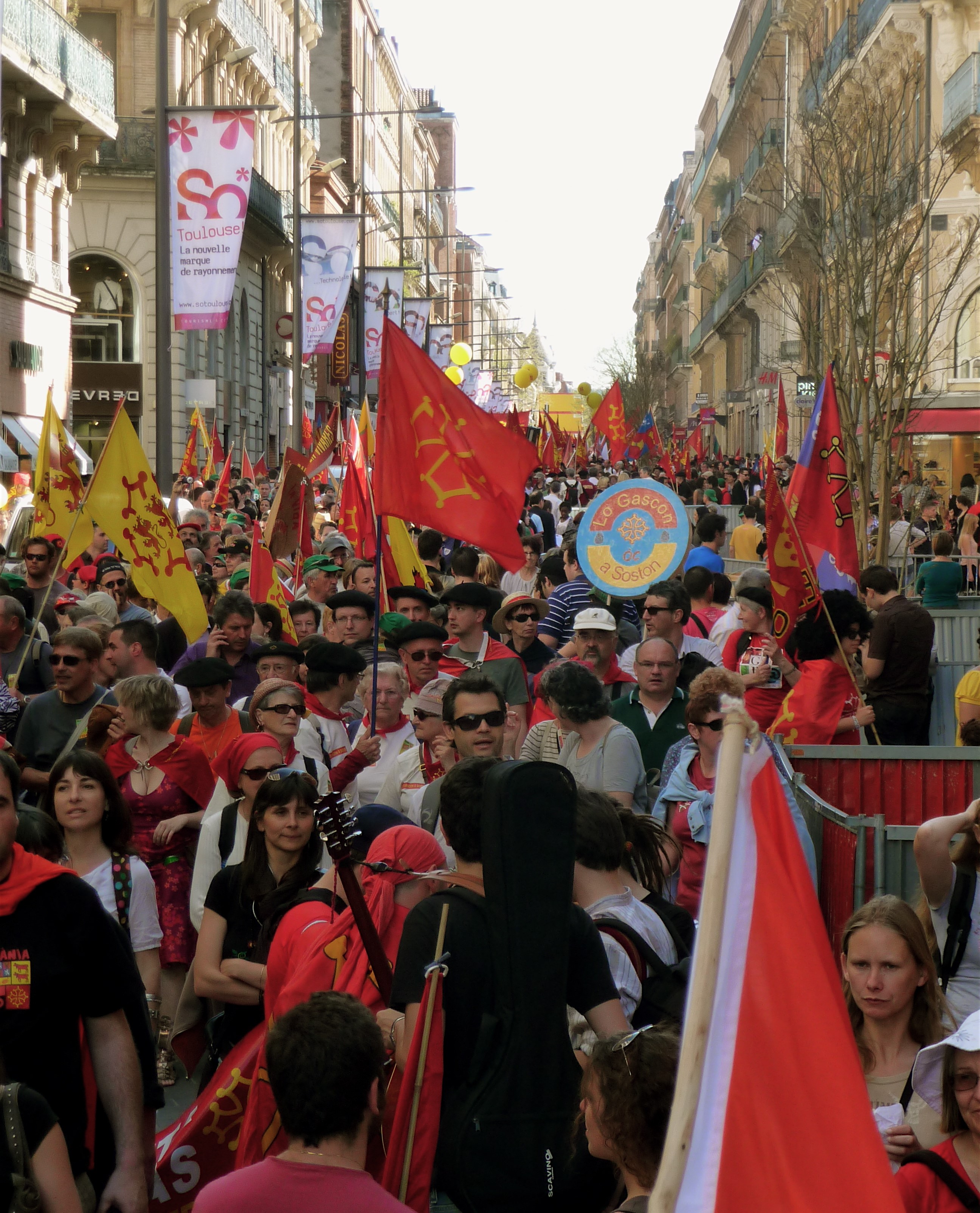 manif-Tolosa-31 de març de 2012 (2).jpg