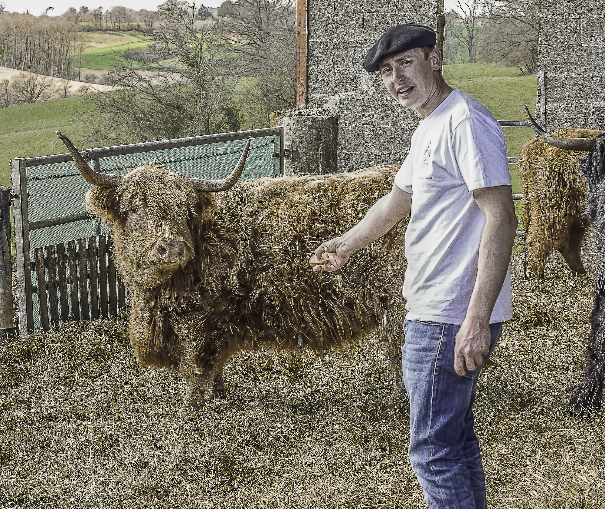 Lilian et vache Nanou 