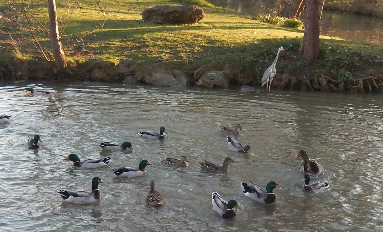 DSCN2071.JPG