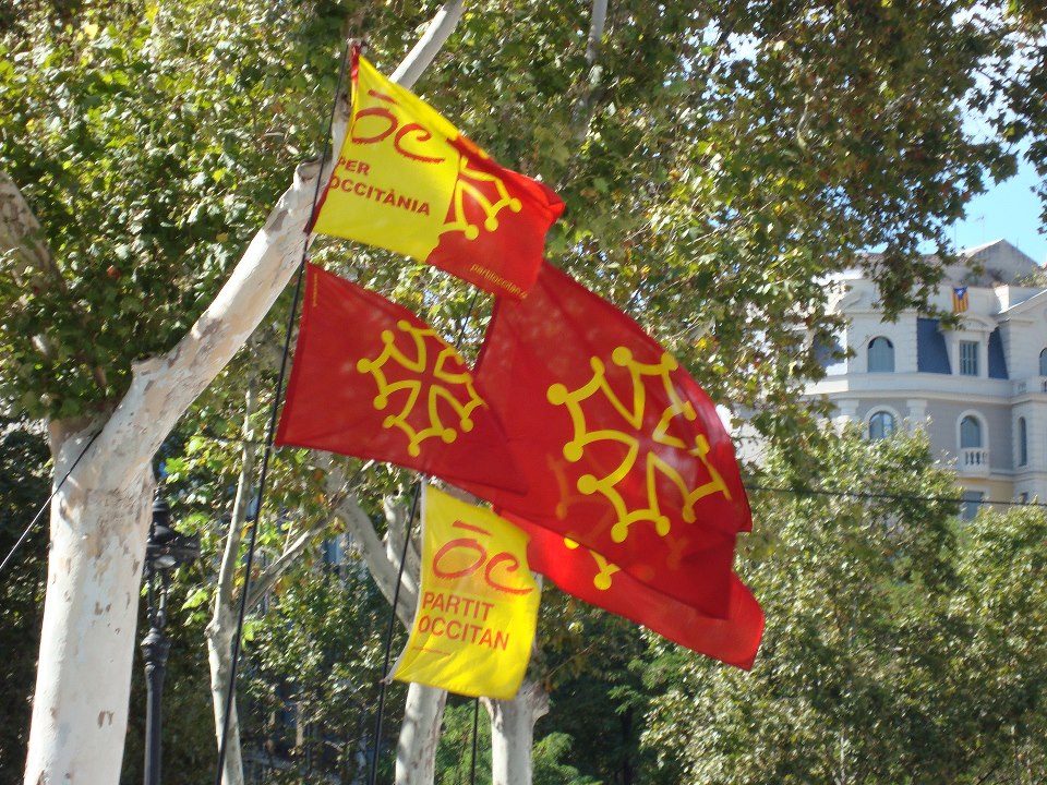 307846_4224741271049_1354959539_n.jpg