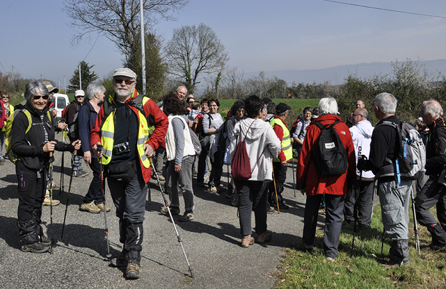 _acta DSC3529R.jpg