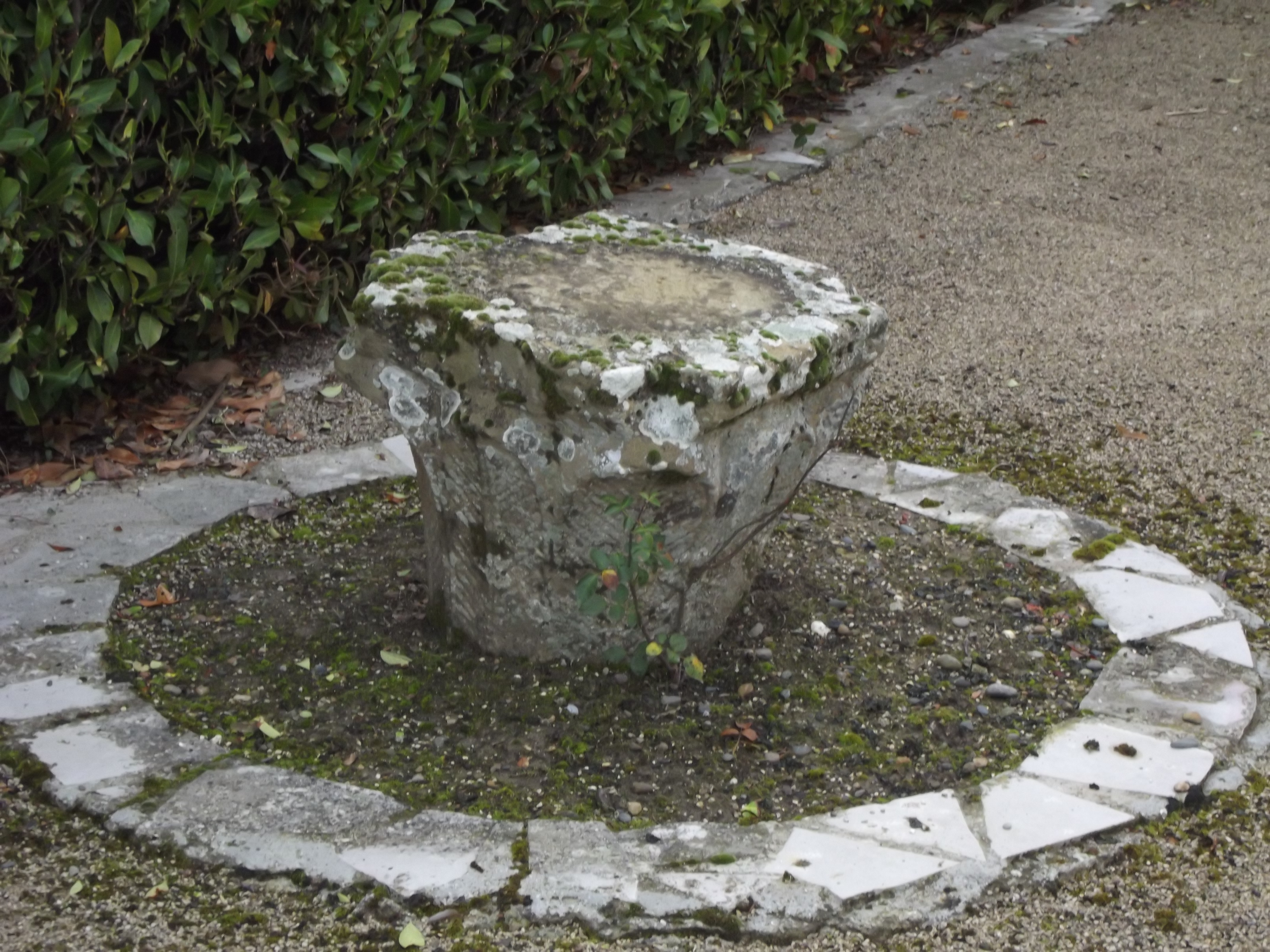 DSCF1121.JPG