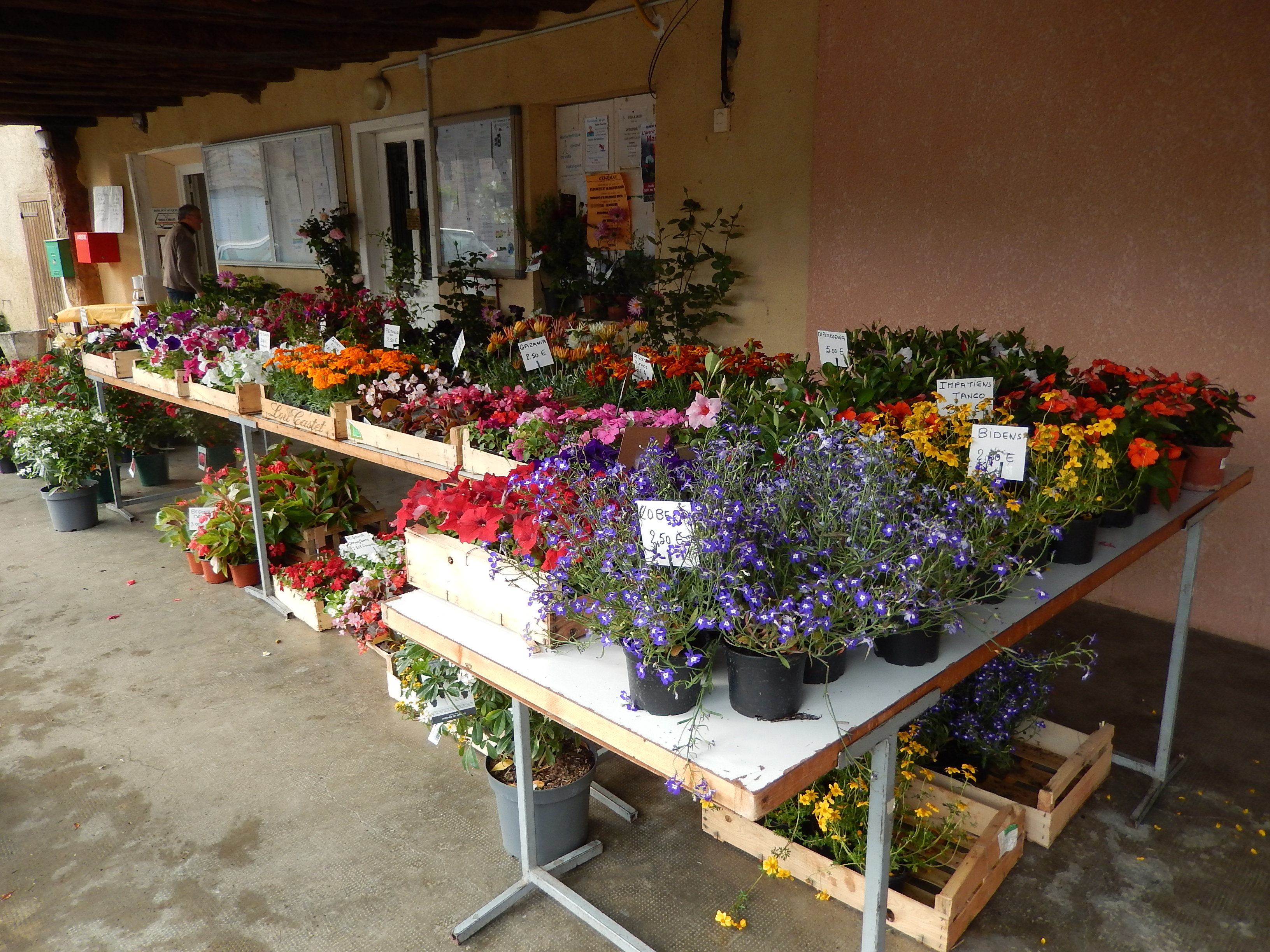 DSCN0327.JPG