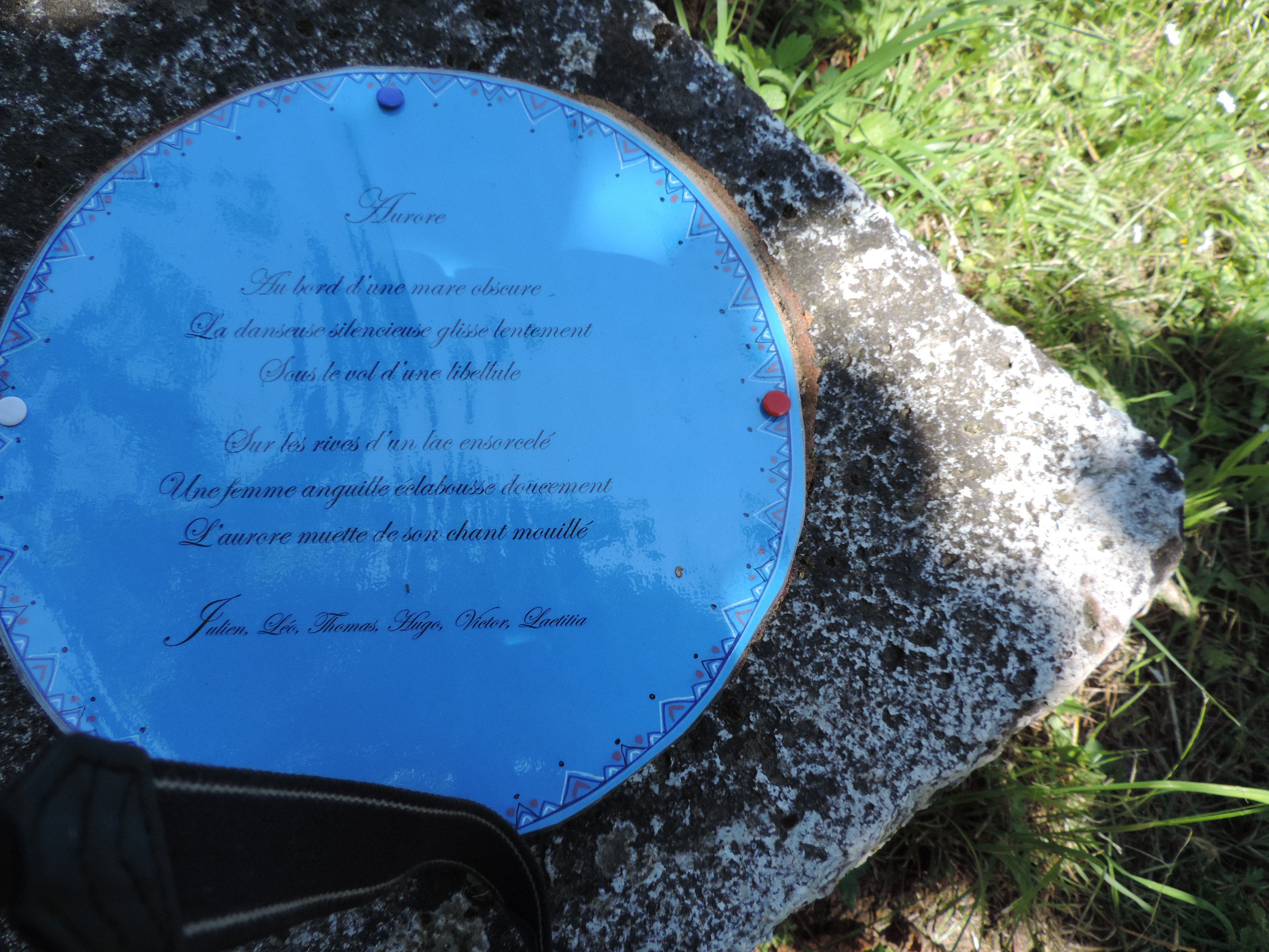 DSCN5006.JPG