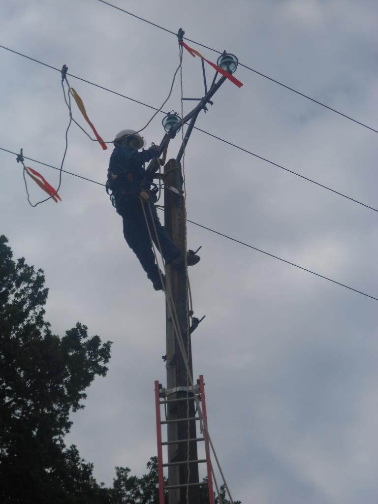 DSCN0917.JPG