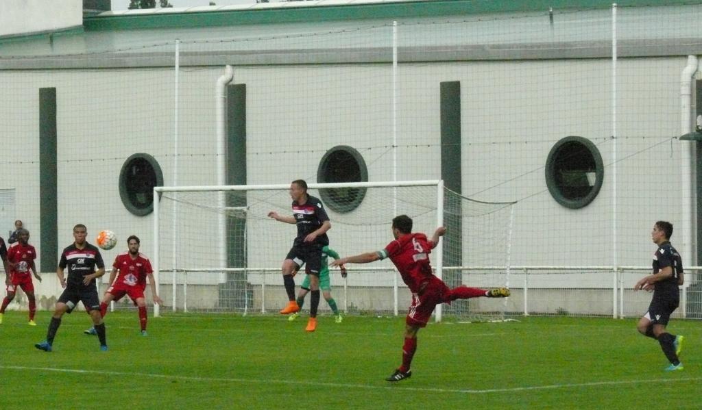 P1250547.JPG