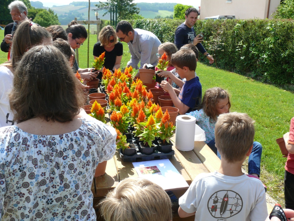 Des plants de fleurs ont été offertes aux enfants.JPG