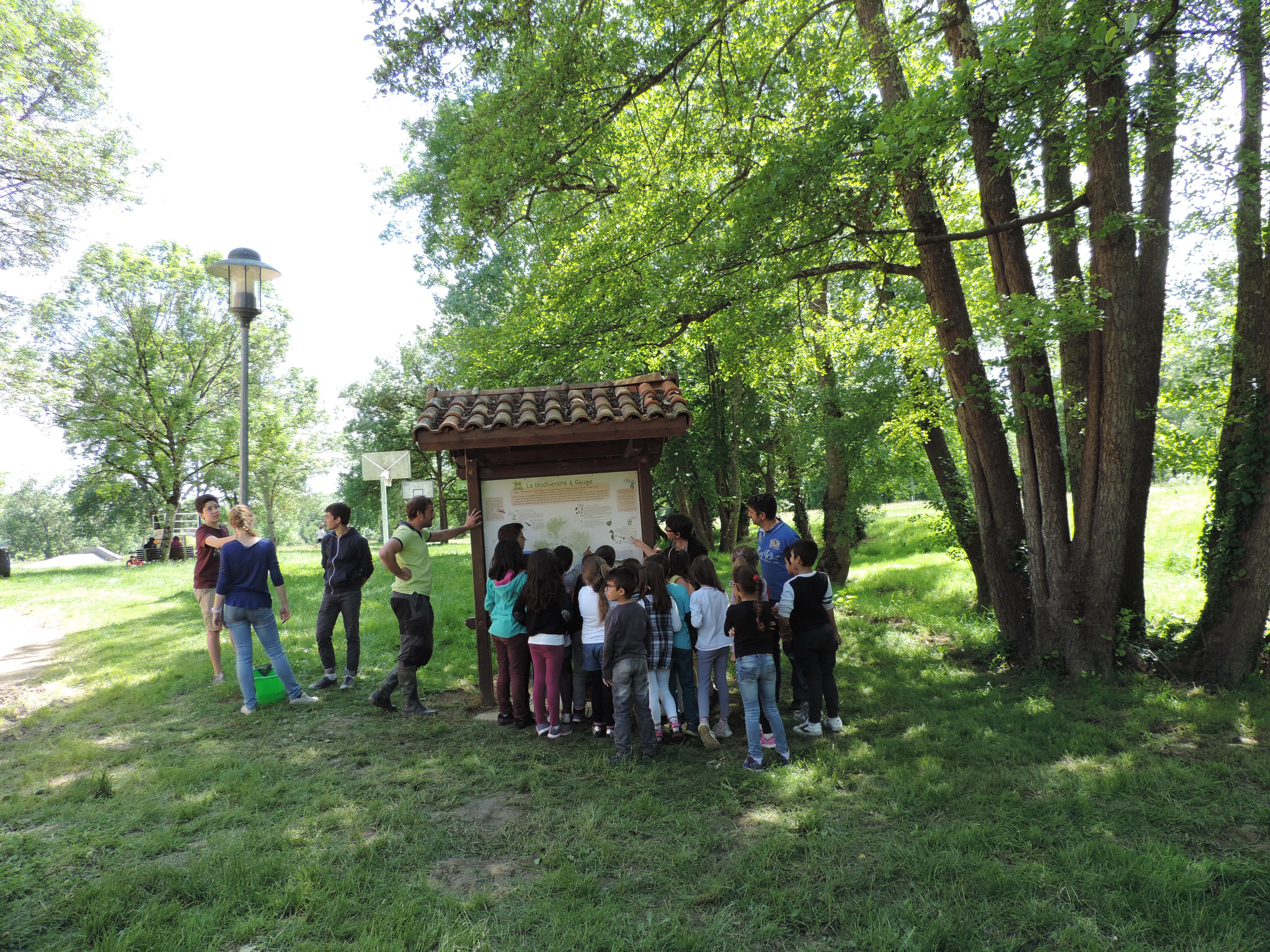 DSCN5017.JPG