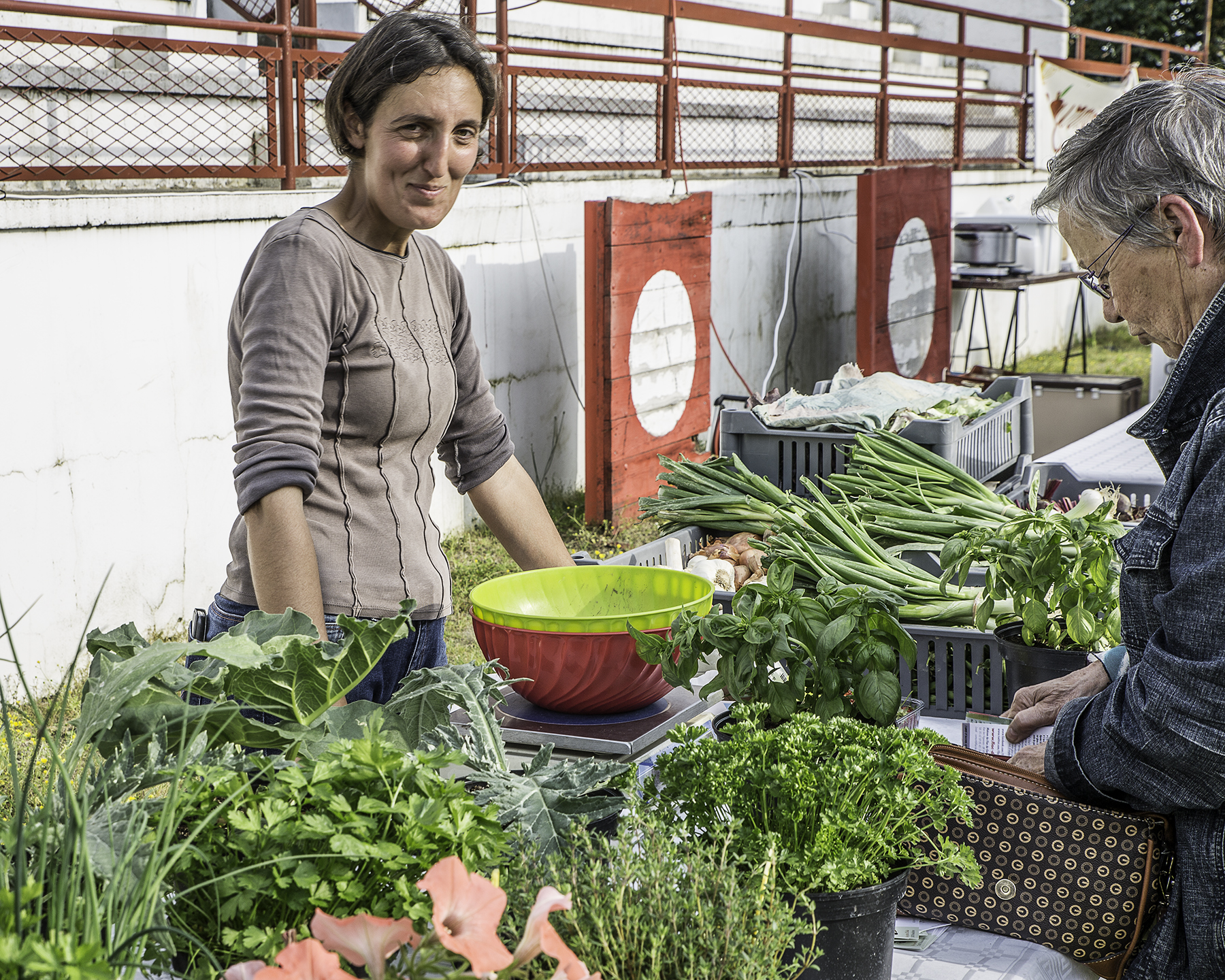 5 Légumes 1bis 030616.jpg