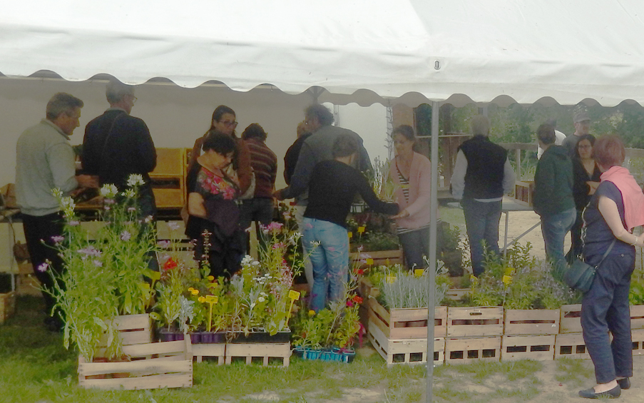 ljardin caillaoue110616_80.JPG