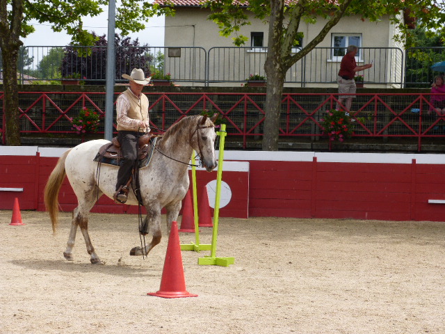 P1090332.JPG