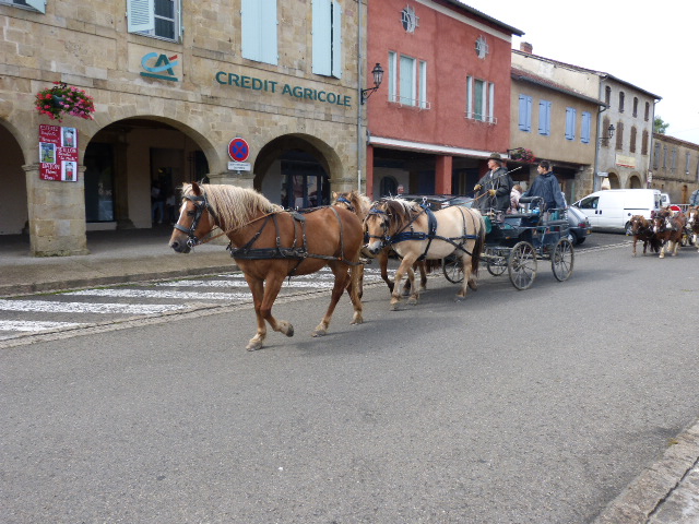 P1090301.JPG