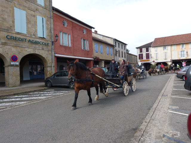P1090300.JPG