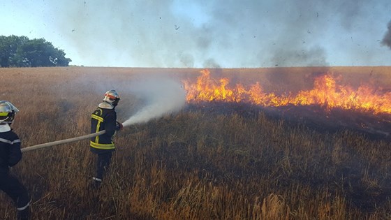 pompiers labejan_5260861428441917292_n.jpg