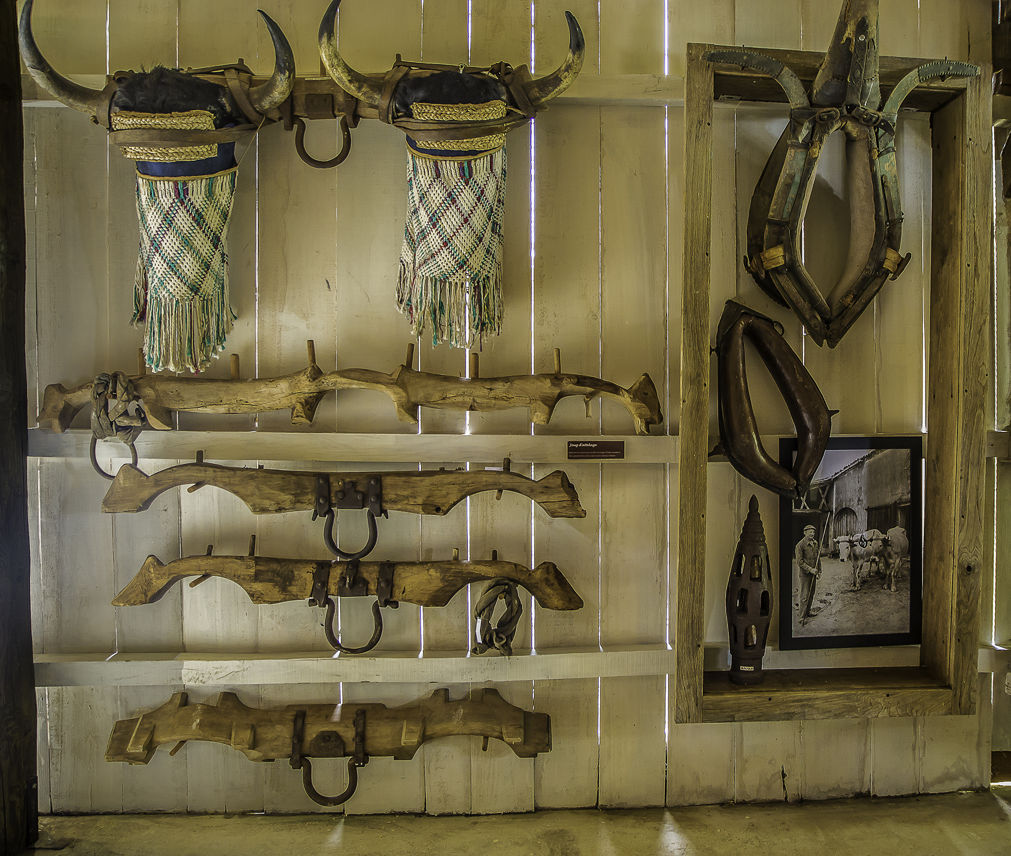 7 Jougs et colliers 1bis 220616.jpg