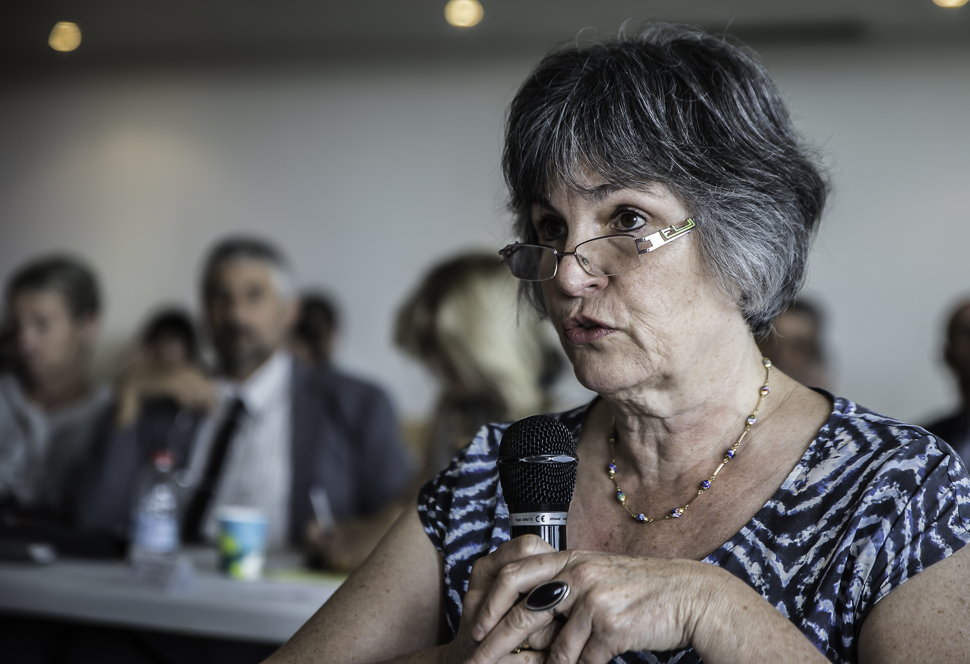 16 Hélène Rozis-Lebreton 1bis 230616.jpg
