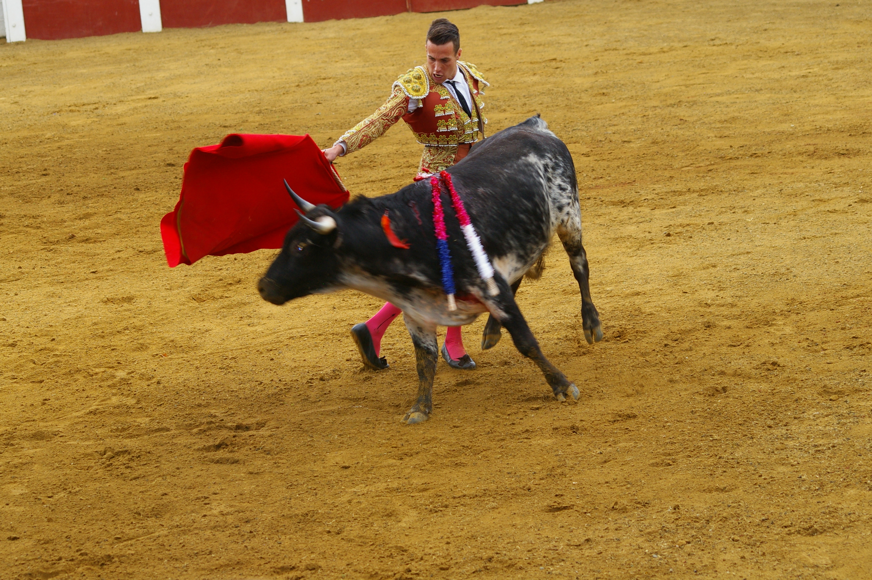IMGP2248.JPG