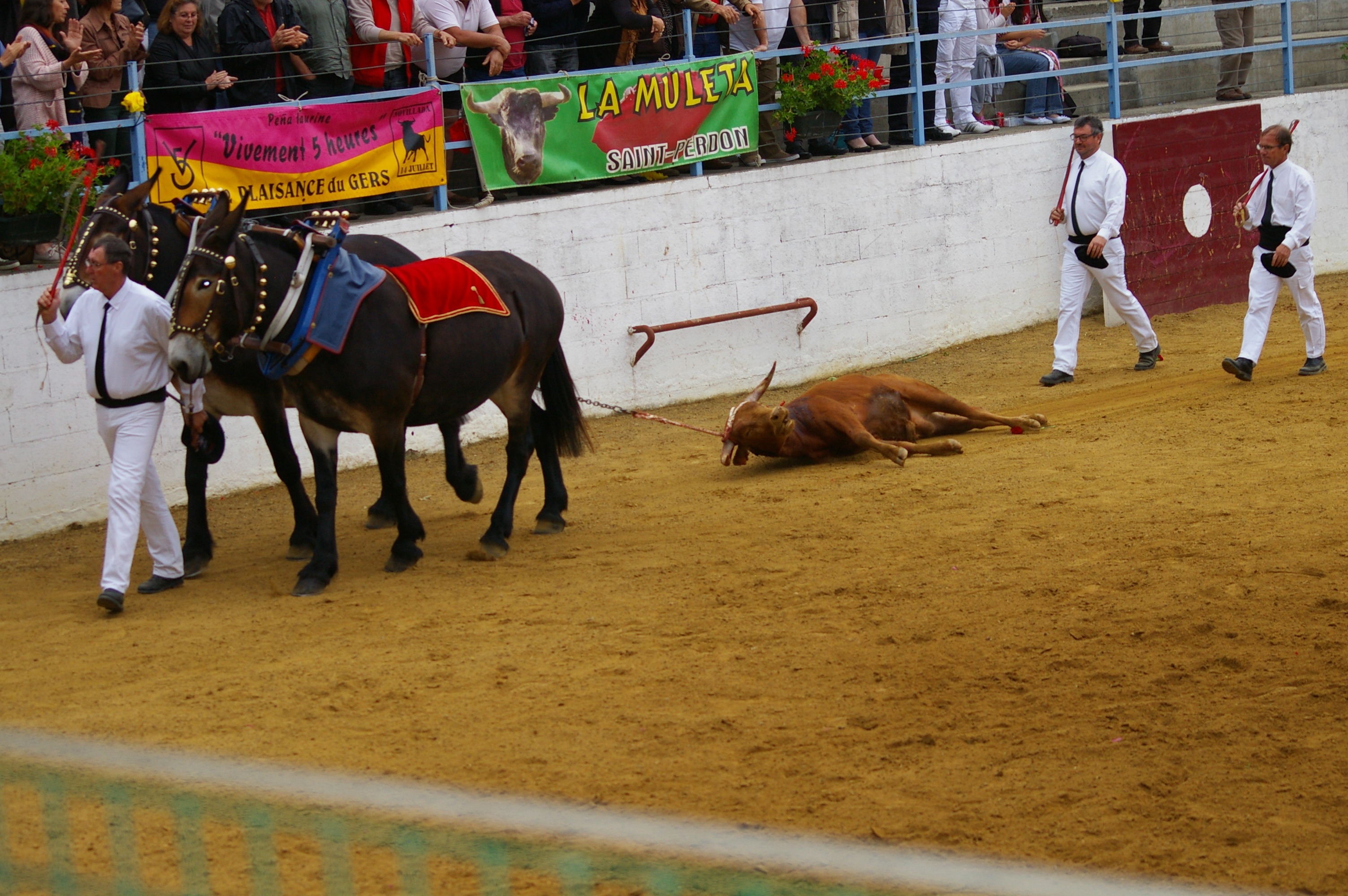 IMGP2270.JPG