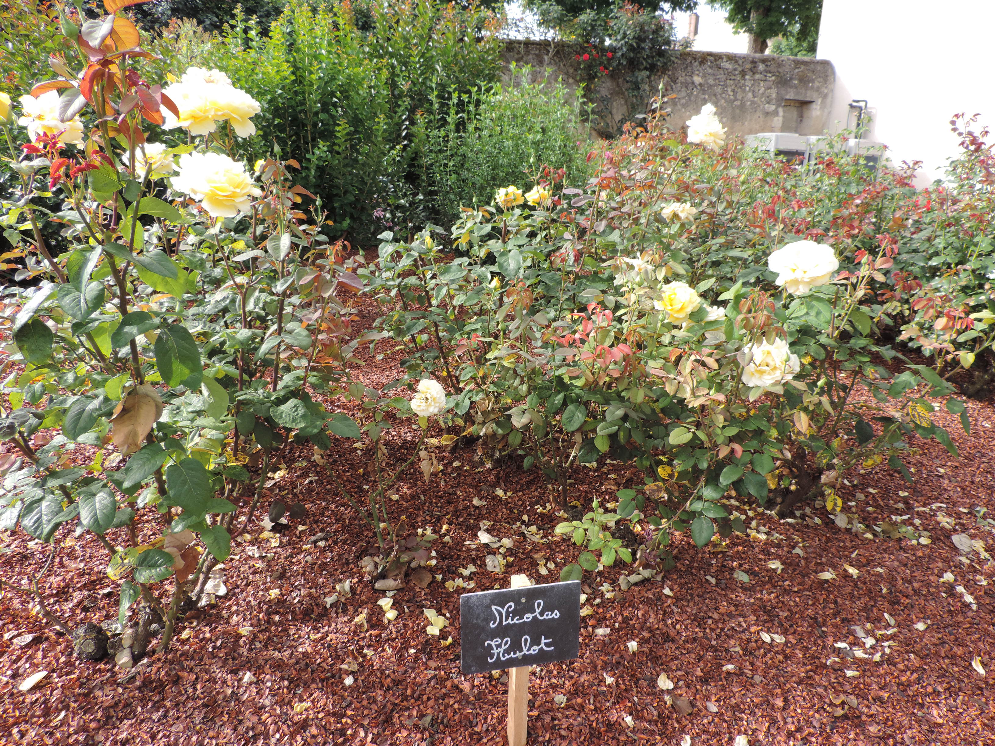 DSCN5317.JPG