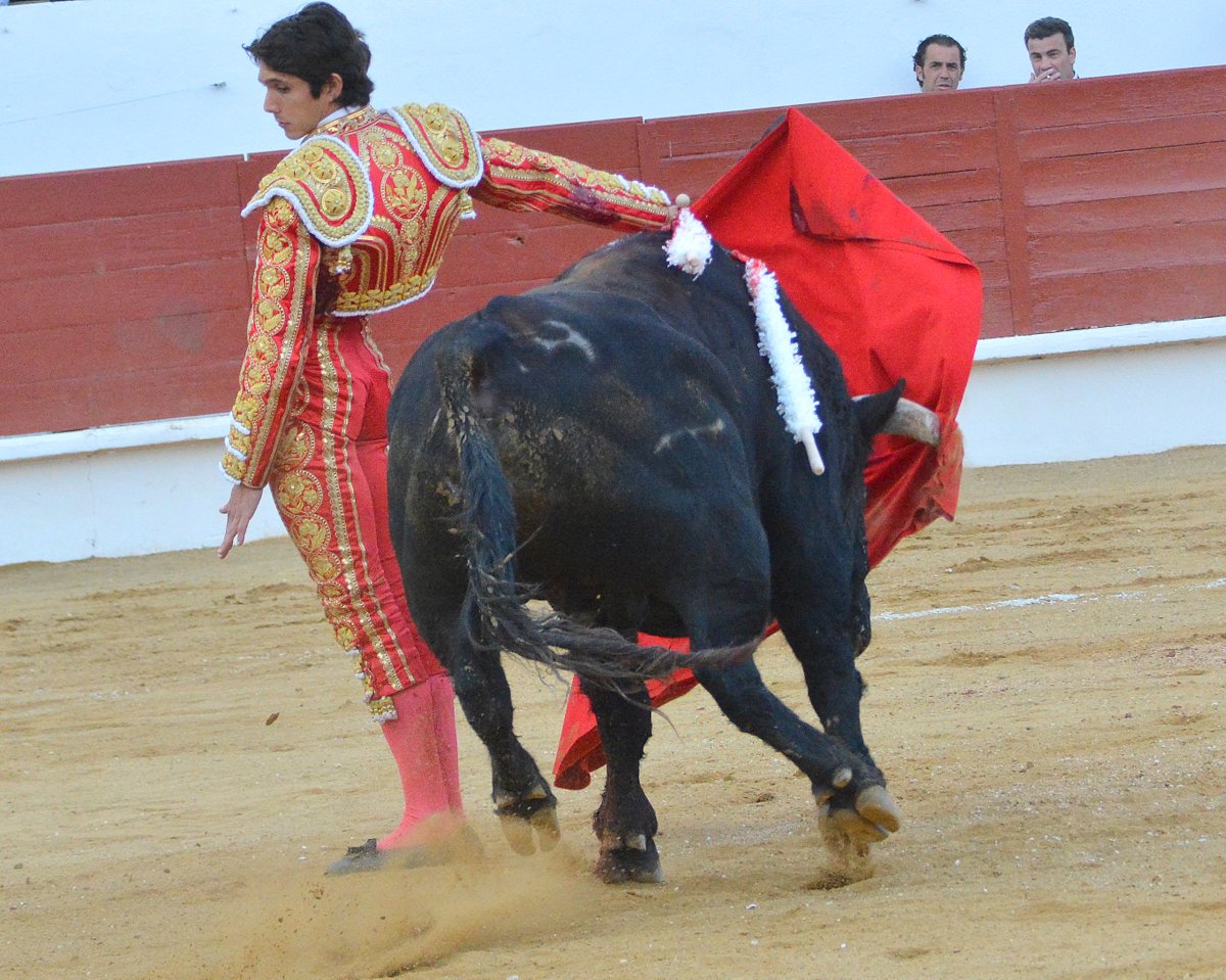 DSC_0953.JPG