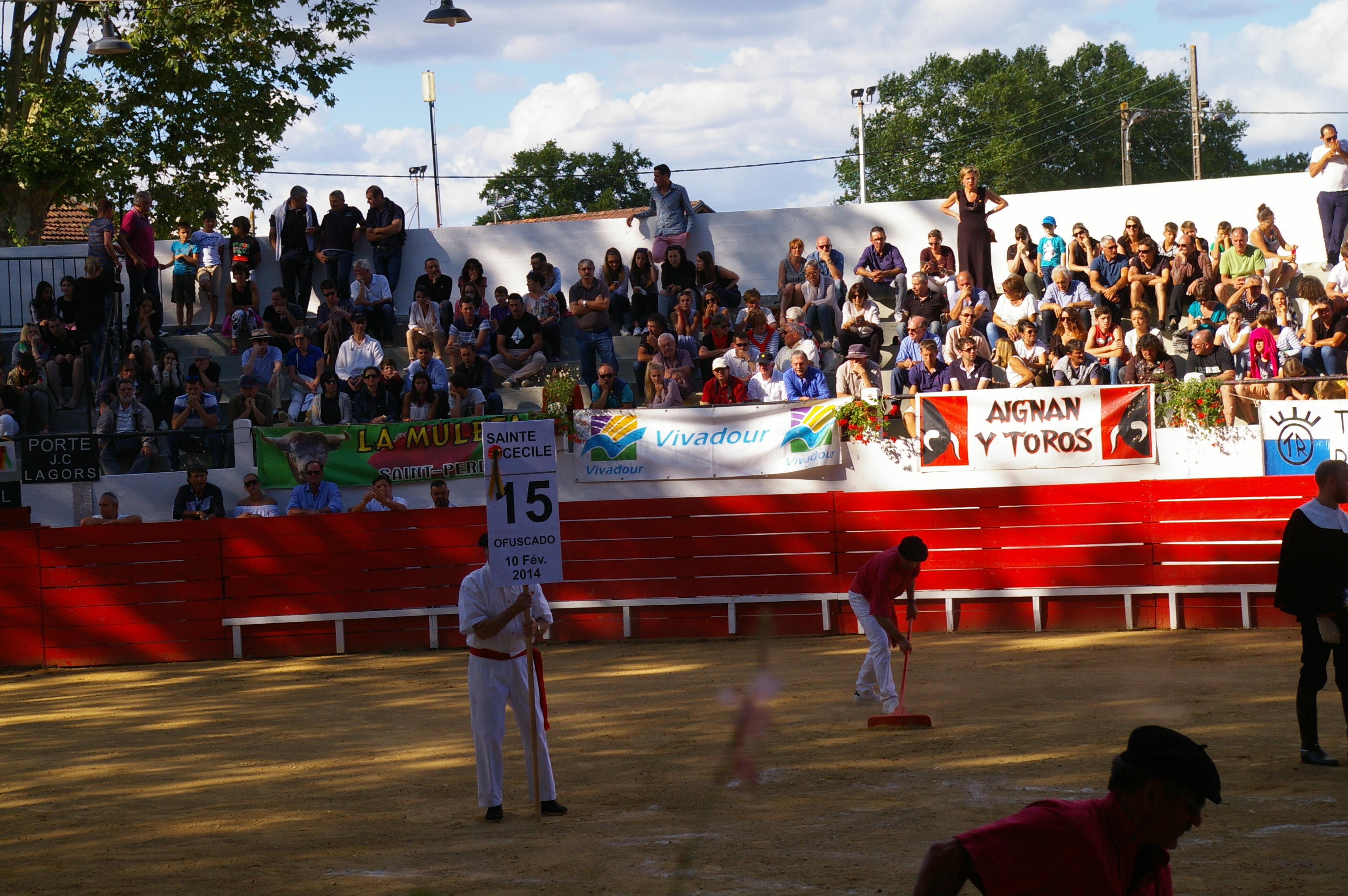 IMGP2432.JPG
