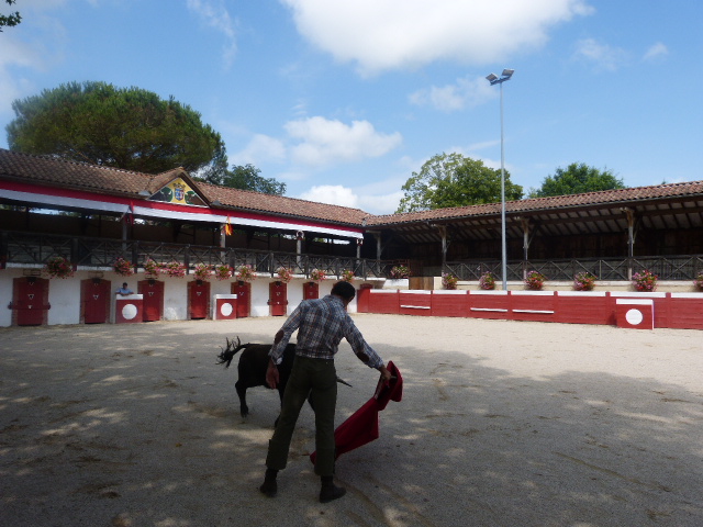 P1090767.JPG