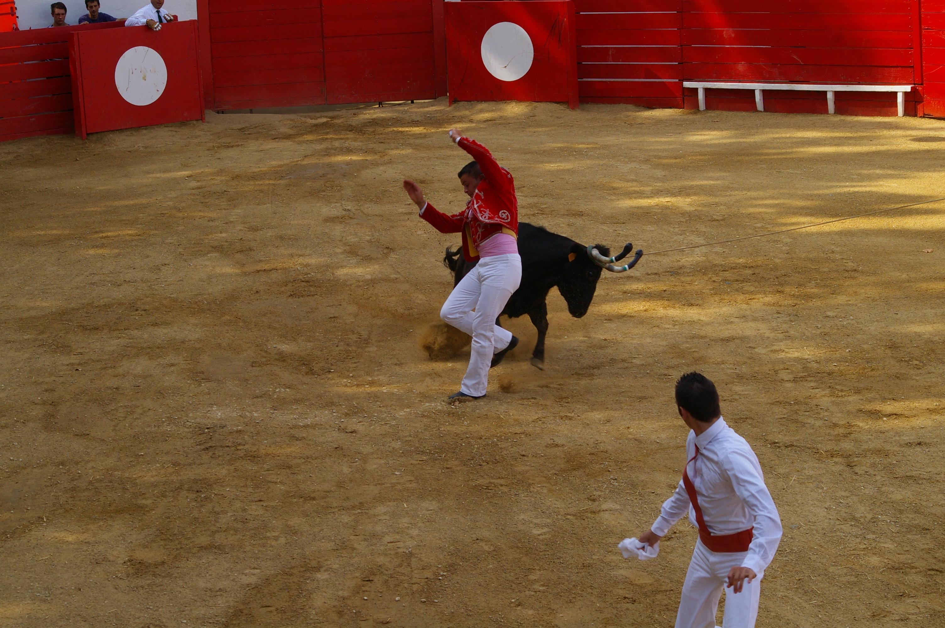 IMGP2498.JPG