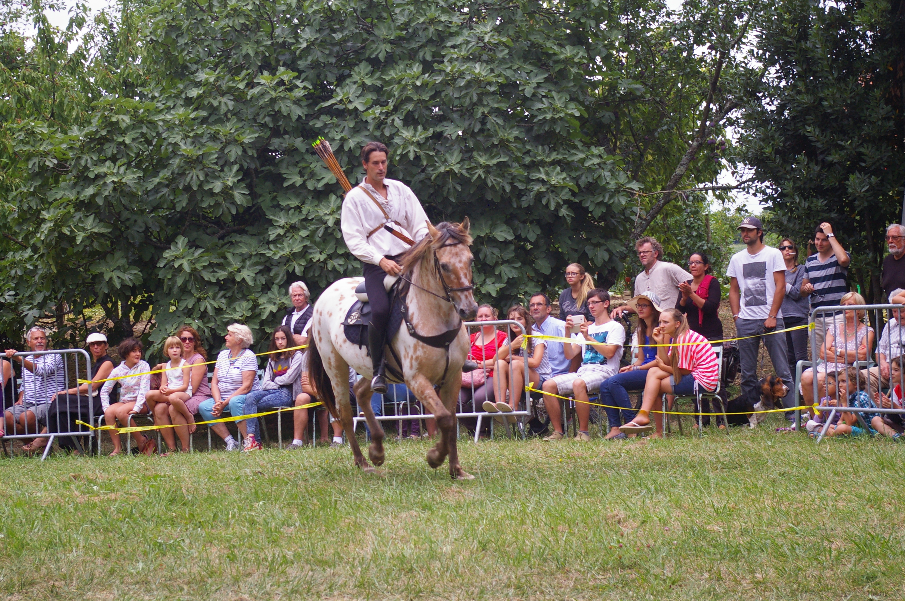 IMGP2534.JPG
