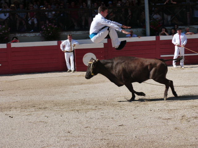P1090976.JPG