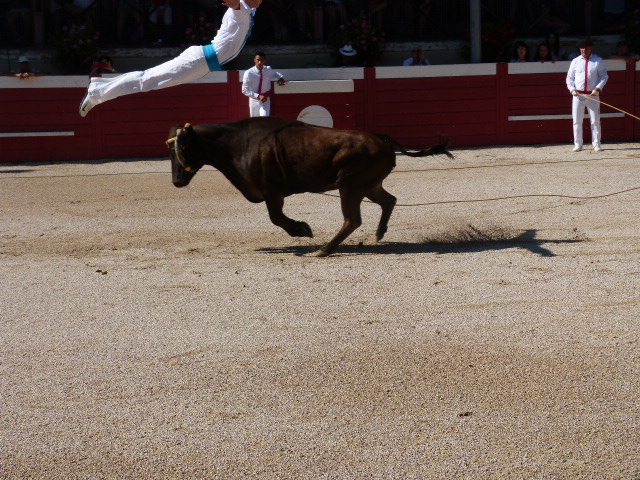 P1090974.JPG