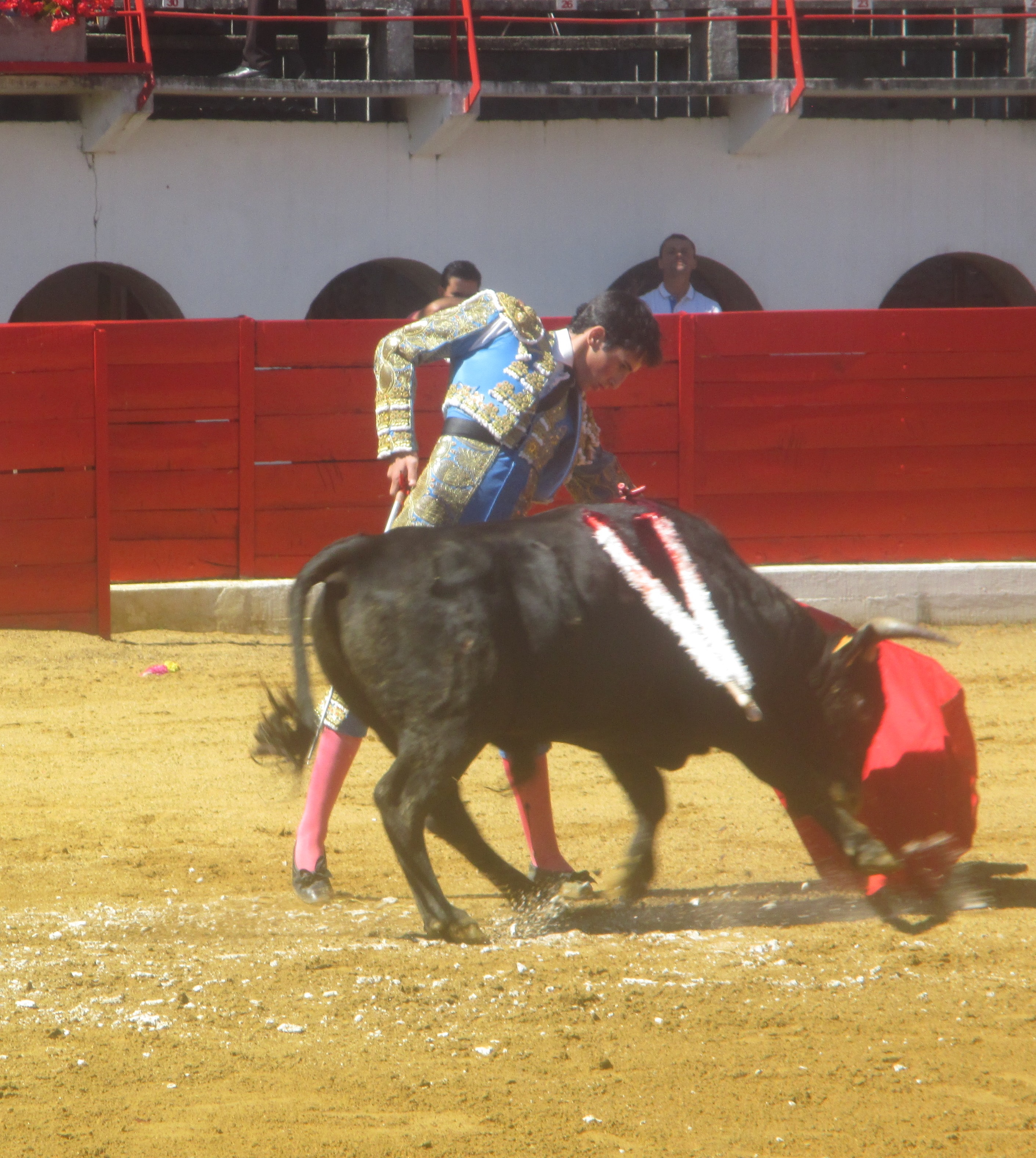 IMG_0608.JPG