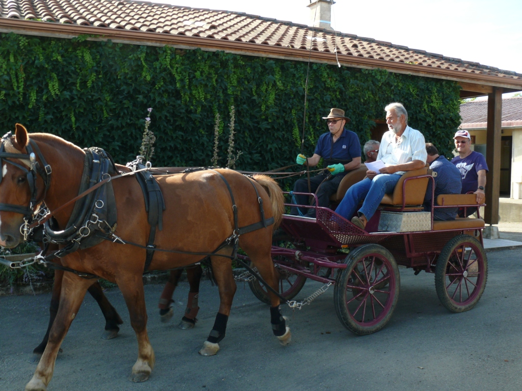 P1270161.JPG