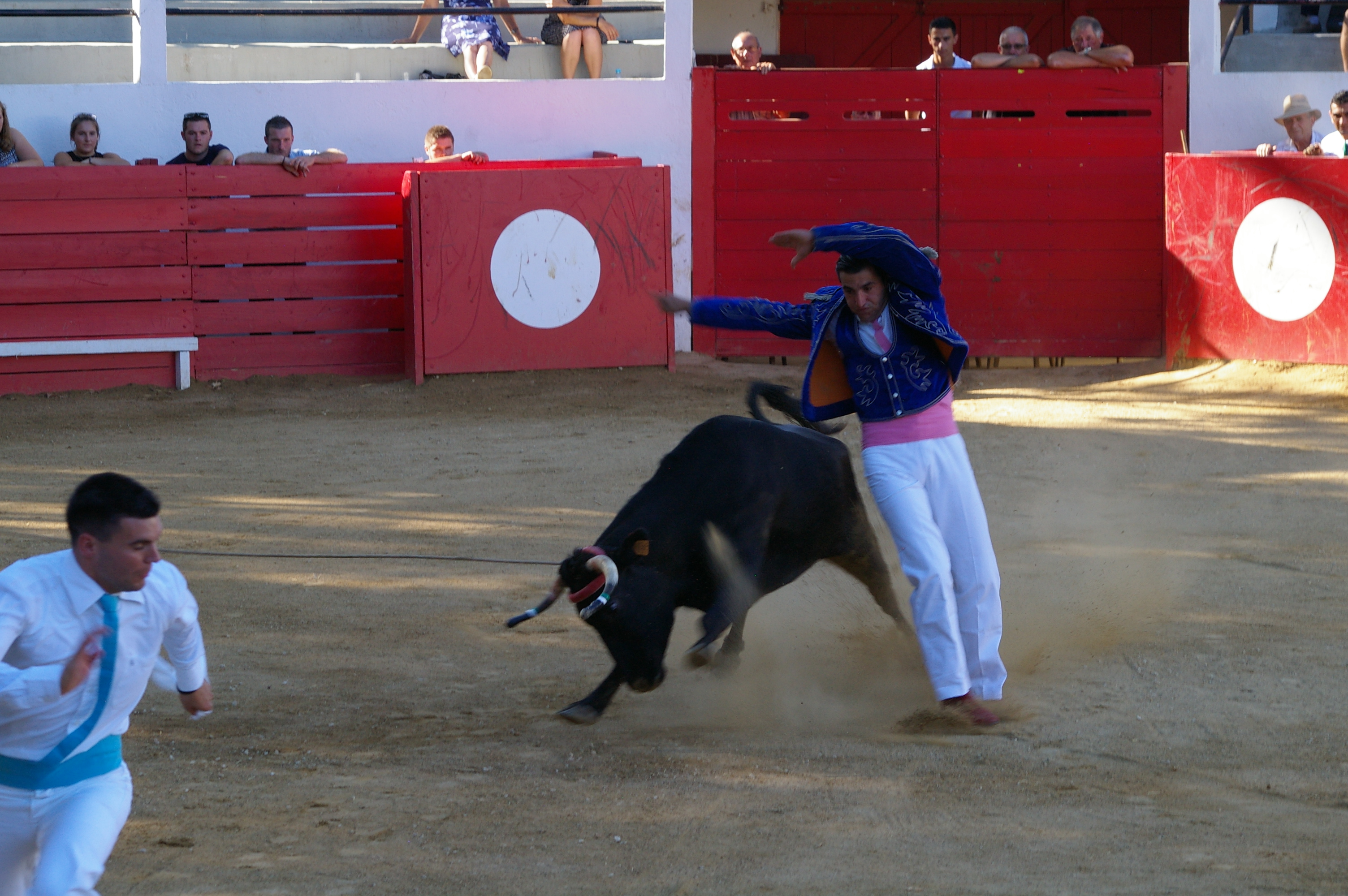 IMGP2778.JPG