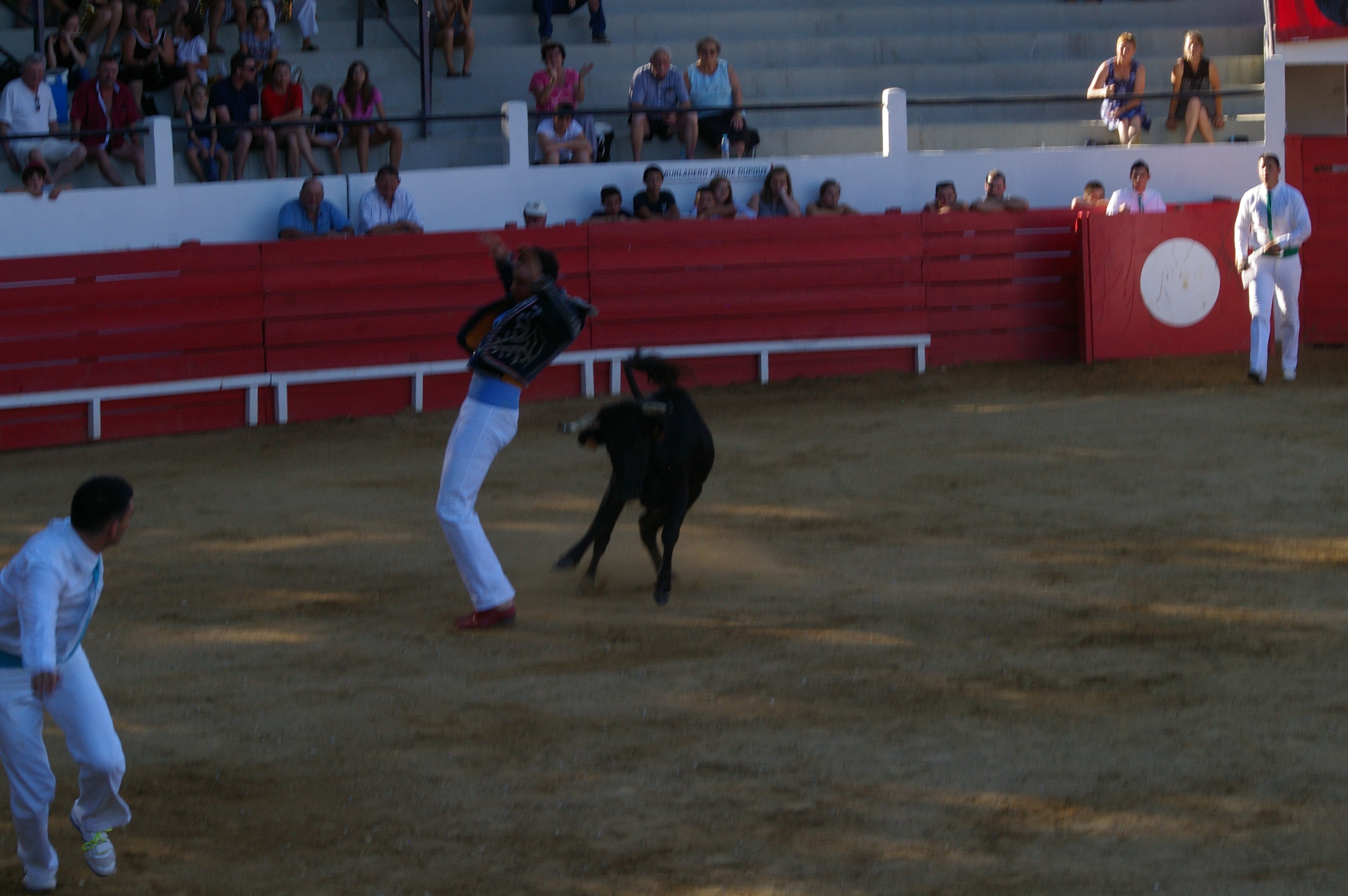 IMGP2787.JPG