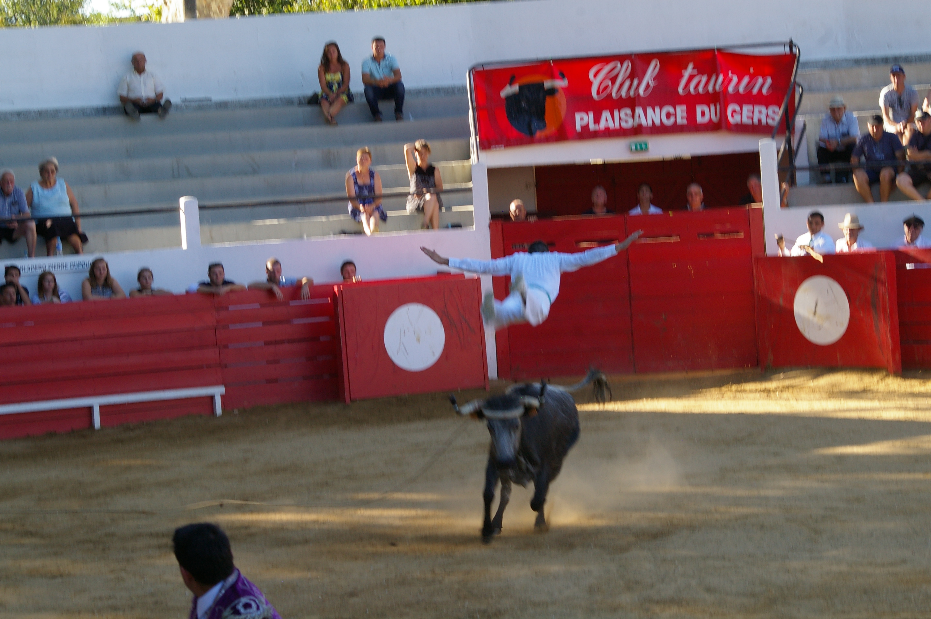 IMGP2784.JPG