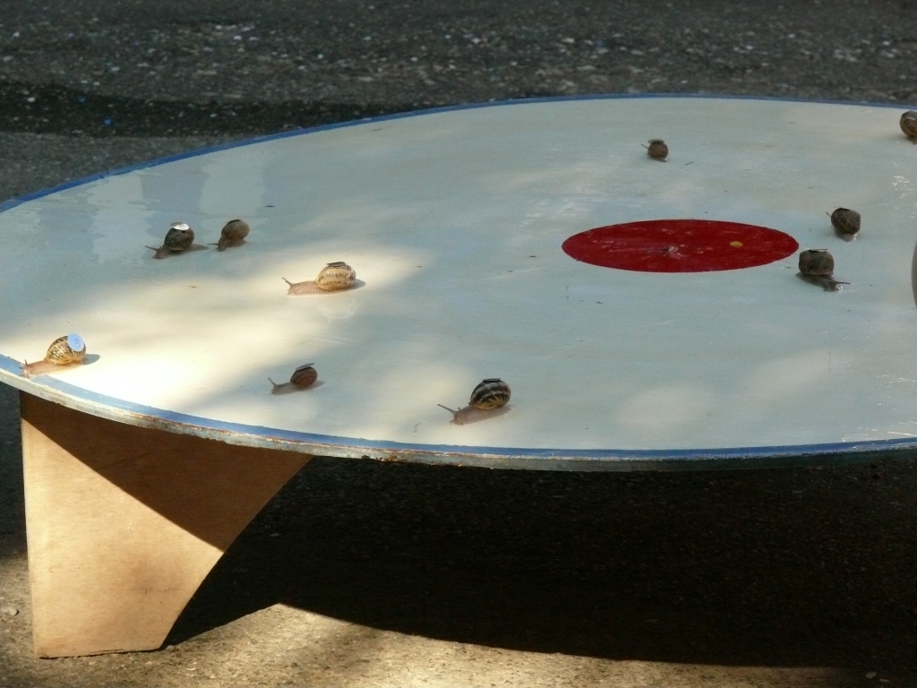 P1270297.JPG