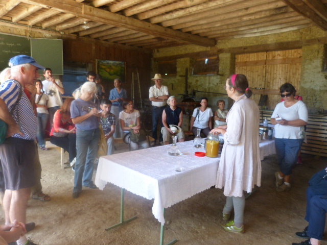 P1100140.JPG