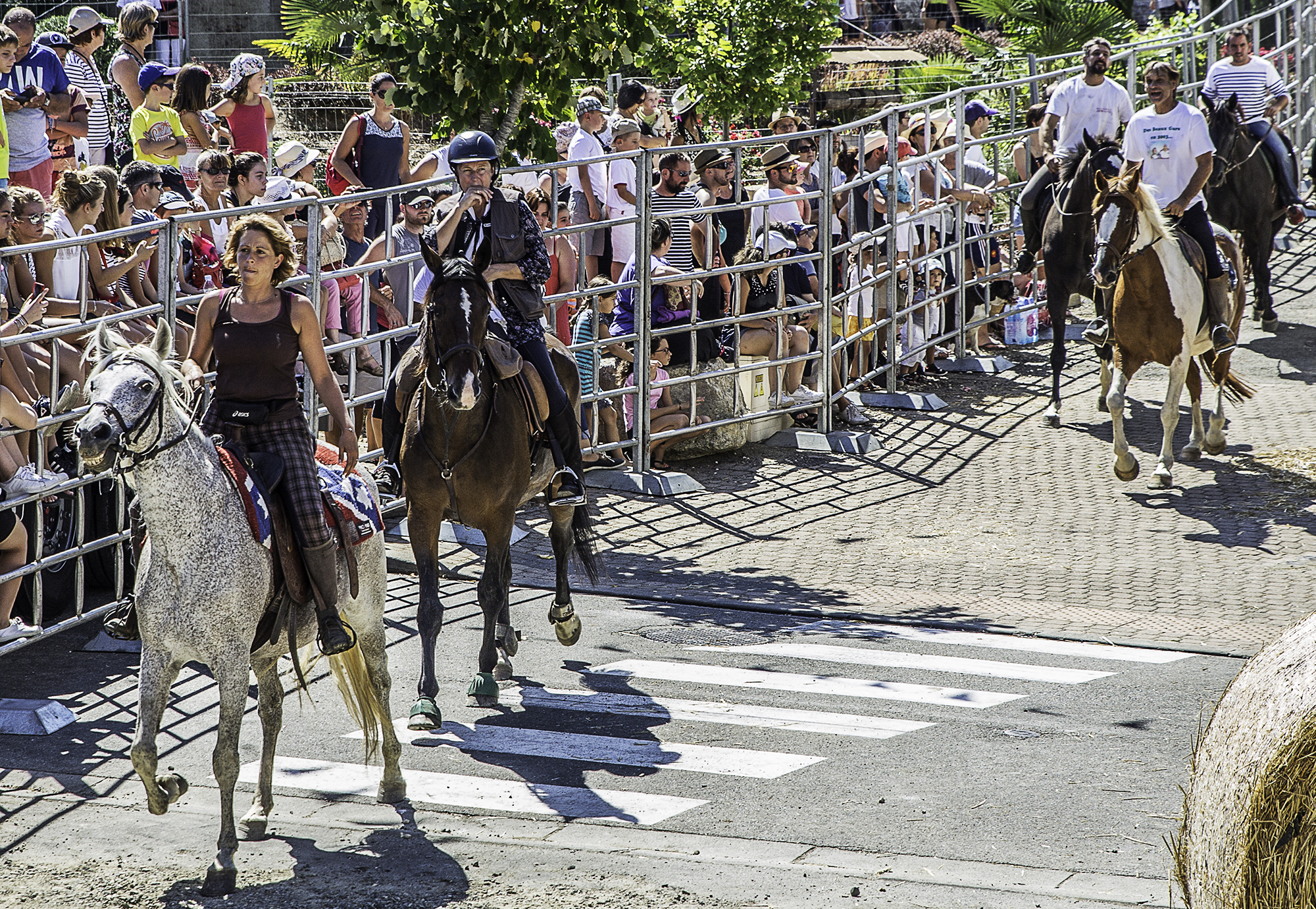 1 Parade de cavaliers 1bis 140816.jpg