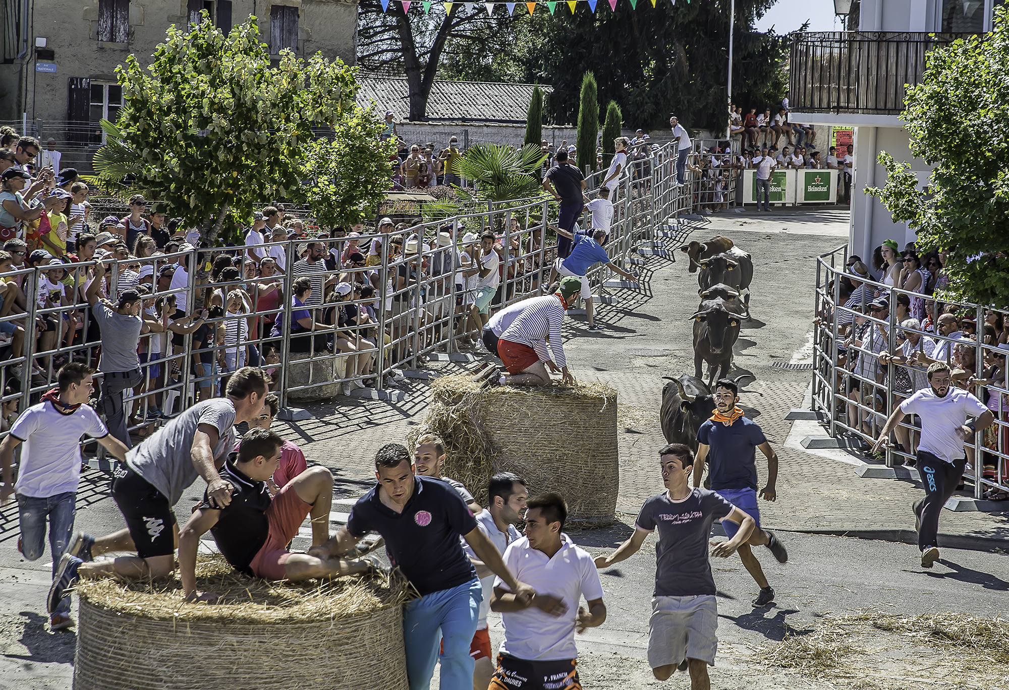 5 La course 1bis 140816.jpg
