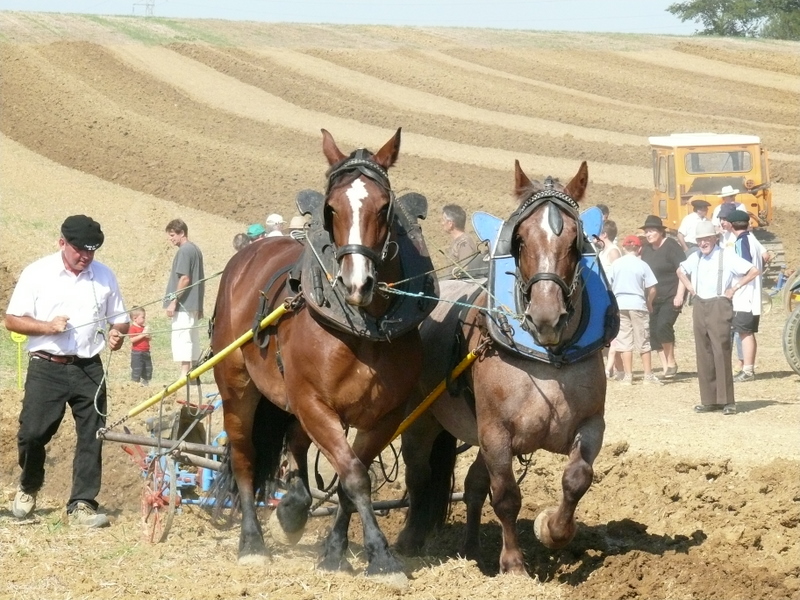 Fête des labours.JPG
