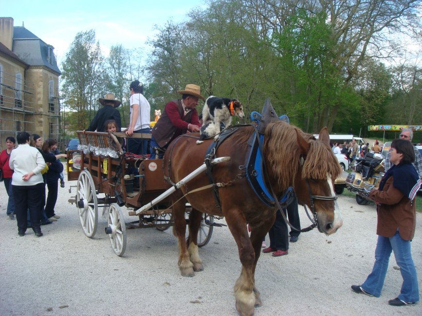 Foire_automne cheval.jpg