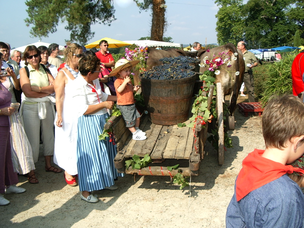 CROUSEILLES FETE VENDANGES 2009 009.JPG